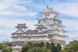 近畿エリアで教習所をお探しの方必見！美味しいものいっぱいの兵庫県合宿免許特集