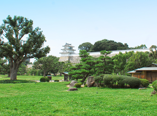 兵庫県の合宿教習所