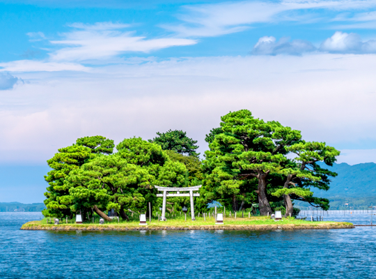 島根県の合宿教習所