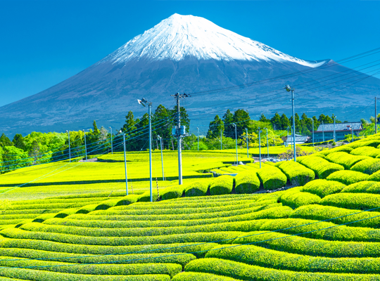 静岡県の合宿教習所